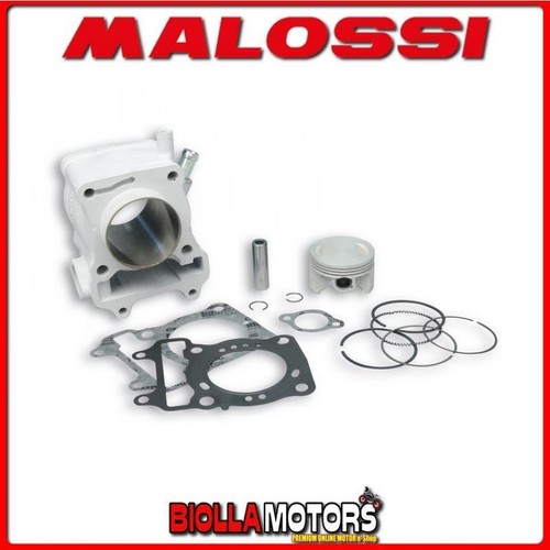 3111627 gruppo termico malossi - 3111627,
