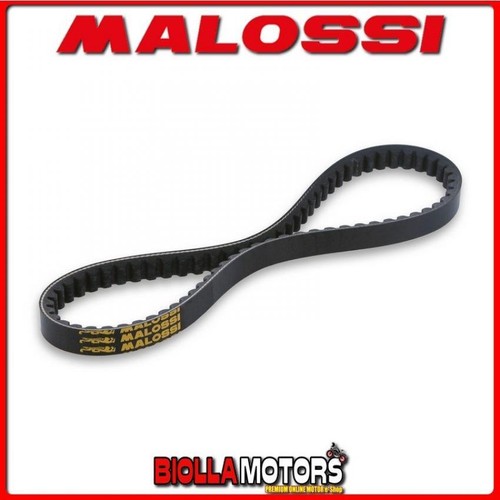 6114127 cinghia variatore - 6114127,