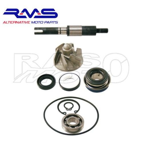 Rms kit revisione - kit, pompa